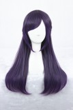 65cm Long Straight Purple Mixed Wigs For Woman Synthetic Anime Cosplay Lolita Wig CS-122A