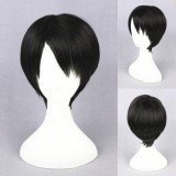 30cm Short Dark Brown Shingeki no Kyojin Rivaille Wig Synthetic Anime Cosplay Wigs CS-084A