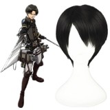 30cm Short Dark Brown Shingeki no Kyojin Rivaille Wig Synthetic Anime Cosplay Wigs CS-084A