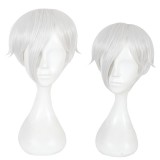 30cm Short Silver White Land of the Lustrous Antarctic Rock Wig Synthetic Anime Cosplay Wig CS-352H