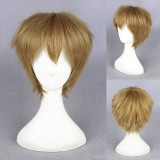 30cm Short Flaxen Super Master Wigs Synthetic Anime Hair Wig Cosplay Wig CS-223B
