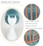 30cm Short Green Mixed Watashi ga Motete Dousunda Shima Nishina Wig Synthetic Anime Cosplay Wigs CS-321B