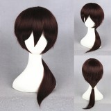 45cm Medium Long Straight Brown Super Master Wigs Synthetic Anime Hair Wig Cosplay Wig CS-223D