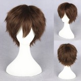 30cm Short Brown Super Master Wigs Synthetic Anime Hair Wig Cosplay Wig CS-223C