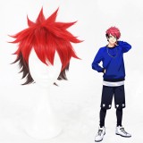 35cm Short Red&Brown Mixed A3 Taichi Nanao Wig Synthetic Anime Cosplay Wigs CS-336E