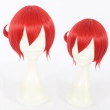 30cm Short Red Wig Cells at Work Cosplay Wig Erythrocite Red Blood Synthetic Anime Wig CS-380A