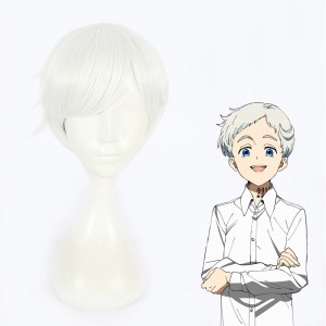 30cm Short Silver The Promised Neverland Norman Wig Synthetic Anime Cosplay Wigs CS-399B