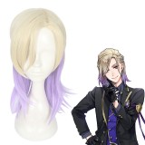 40cm Short Purple&Golden Mixed Disney Twisted Wonderland Vil Schoenheit Wig Synthetic Anime Cosplay Wigs CS-445A