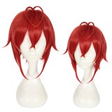 30cm Short Red Disney Twisted Wonderland Anime Riddle Rosehearts Wig Synthetic Hair Cosplay Wigs CS-441A