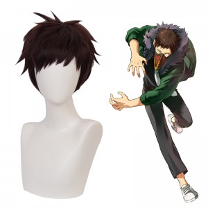 30cm Short Brown Hair Wig My Hero Academia Overhaul Wig Synthetic Anime Cosplay Wigs CS-384K