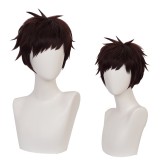 30cm Short Brown Hair Wig My Hero Academia Overhaul Wig Synthetic Anime Cosplay Wigs CS-384K
