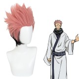 30cm Short Smoke Pink&Black Mixed Jujutsu Kaisen Yuji Itadori Wig Synthetic Anime Cosplay Wigs CS-458I