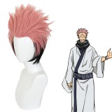 30cm Short Smoke Pink&Black Mixed Jujutsu Kaisen Yuji Itadori Wig Synthetic Anime Cosplay Wigs CS-458I