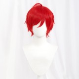 30cm Short MSN Wig Cosplay Multi Colors Straight Peluca Synthetic Anime Hair Cosplay Heat Resistant Wigs For Party