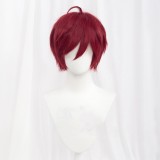 30cm Short MSN Wig Cosplay Multi Colors Straight Peluca Synthetic Anime Hair Cosplay Heat Resistant Wigs For Party