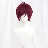 30cm Short MSN Wig Cosplay Multi Colors Straight Peluca Synthetic Anime Hair Cosplay Heat Resistant Wigs For Party