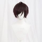 30cm Short MSN Wig Cosplay Multi Colors Straight Peluca Synthetic Anime Hair Cosplay Heat Resistant Wigs For Party