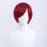 30cm Short Bobo Wig Cosplay Multi Colors MSN Straight Synthetic Anime Hair Cosplay Heat Resistant Wigs For Party