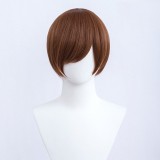 30cm Short Bobo Wig Cosplay Multi Colors MSN Straight Synthetic Anime Hair Cosplay Heat Resistant Wigs For Party