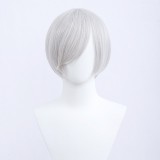 30cm Short Bobo Wig Cosplay Multi Colors MSN Straight Synthetic Anime Hair Cosplay Heat Resistant Wigs For Party