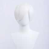 30cm Short Bobo Wig Cosplay Multi Colors MSN Straight Synthetic Anime Hair Cosplay Heat Resistant Wigs For Party