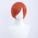 30cm Short Bobo Wig Cosplay Multi Colors MSN Straight Synthetic Anime Hair Cosplay Heat Resistant Wigs For Party