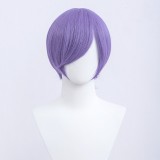 30cm Short Bobo Wig Cosplay Multi Colors MSN Straight Synthetic Anime Hair Cosplay Heat Resistant Wigs For Party