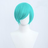 30cm Short Bobo Wig Cosplay Multi Colors MSN Straight Synthetic Anime Hair Cosplay Heat Resistant Wigs For Party