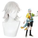 35cm Short Silver Honor of Kings Game Zhang Liang Wig Cosplay Synthetic Hair Wigs CS-486B