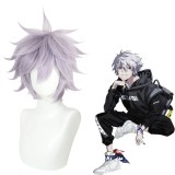 30cm Short Straight Purple Gray EVA Anime Kaworu Nagisa Wig Cosplay Synthetic Hair Wigs CS-480B