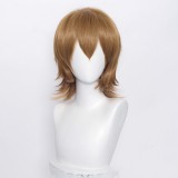 35cm Short Multi Colors MSN Wig Cosplay Synthetic Anime Heat Resistant Hair Wigs For Party CC004