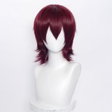 35cm Short Multi Colors MSN Wig Cosplay Synthetic Anime Heat Resistant Hair Wigs For Party CC004