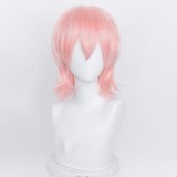 35cm Short Multi Colors MSN Wig Cosplay Synthetic Anime Heat Resistant Hair Wigs For Party CC004