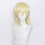 35cm Short Multi Colors MSN Wig Cosplay Synthetic Anime Heat Resistant Hair Wigs For Party CC004