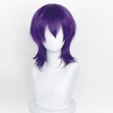 35cm Short Multi Colors MSN Wig Cosplay Synthetic Anime Heat Resistant Hair Wigs For Party CC004