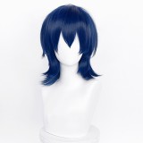 35cm Short Multi Colors MSN Wig Cosplay Synthetic Anime Heat Resistant Hair Wigs For Party CC004