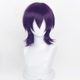 35cm Short Multi Colors MSN Wig Cosplay Synthetic Anime Heat Resistant Hair Wigs For Party CC004