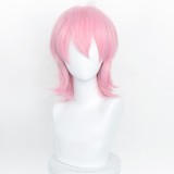 35cm Short Multi Colors MSN Wig Cosplay Synthetic Anime Heat Resistant Hair Wigs For Party CC004