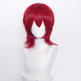 35cm Short Multi Colors MSN Wig Cosplay Synthetic Anime Heat Resistant Hair Wigs For Party CC004