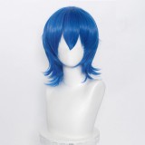 35cm Short Multi Colors MSN Wig Cosplay Synthetic Anime Heat Resistant Hair Wigs For Party CC004