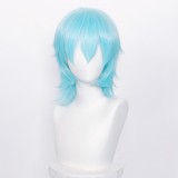 35cm Short Multi Colors MSN Wig Cosplay Synthetic Anime Heat Resistant Hair Wigs For Party CC004