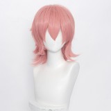 35cm Short Multi Colors MSN Wig Cosplay Synthetic Anime Heat Resistant Hair Wigs For Party CC004