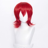 35cm Short Multi Colors MSN Wig Cosplay Synthetic Anime Heat Resistant Hair Wigs For Party CC004