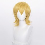 35cm Short Multi Colors MSN Wig Cosplay Synthetic Anime Heat Resistant Hair Wigs For Party CC004