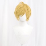 30cm Short MSN Wig Cosplay Multi Colors Straight Peluca Synthetic Anime Hair Cosplay Heat Resistant Wigs For Party