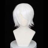 30cm Short MSN Wig Cosplay Multi Colors Straight Peluca Synthetic Anime Hair Cosplay Heat Resistant Wigs For Party