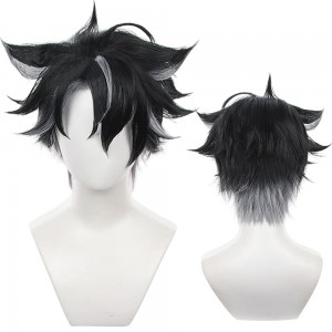30cm Short Black&Gray Mixed Genshin Impact Wriothesley Wig Cosplay Synthetic Anime Halloween Party Hair Wigs CS-555Z